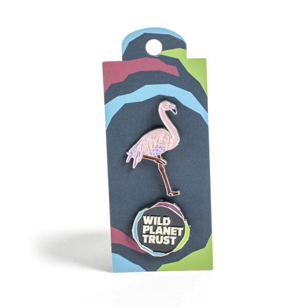 Double Flamingo Pin Badge